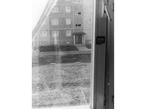 Rausblick