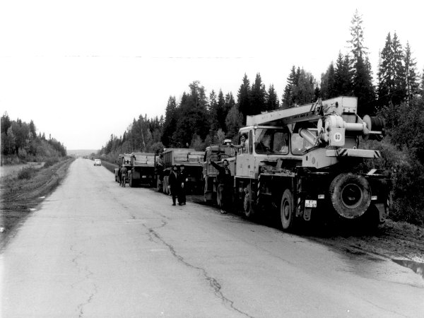 Stra&szlig;enplatten f&uuml;r die Zecke