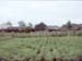 land20